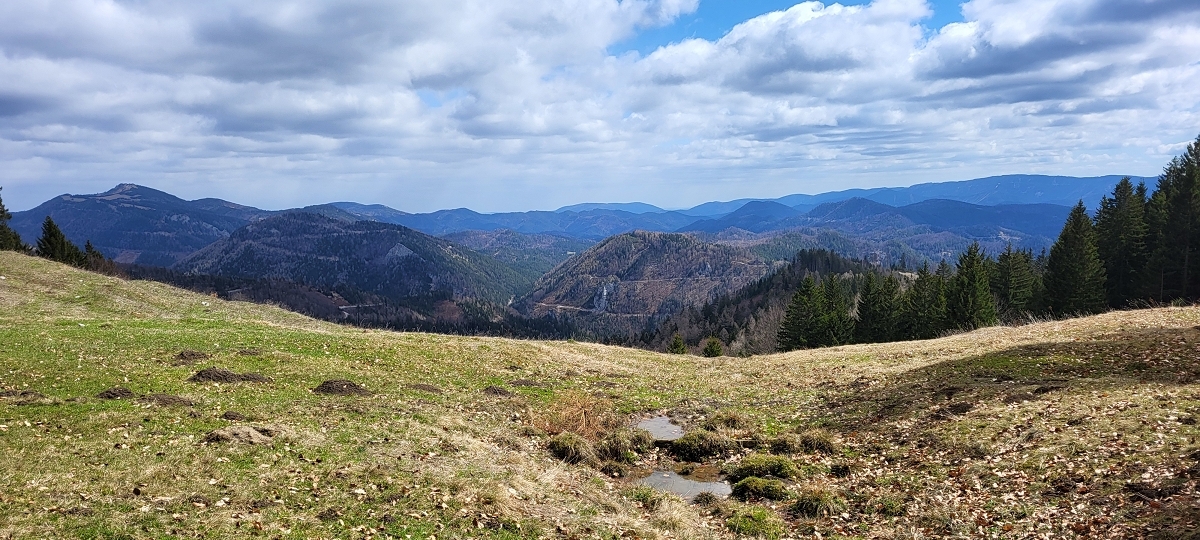 Jochart Panorama